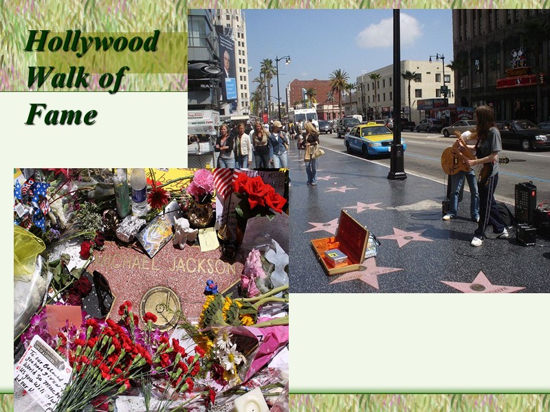 Hollywood  Walk of Fame
